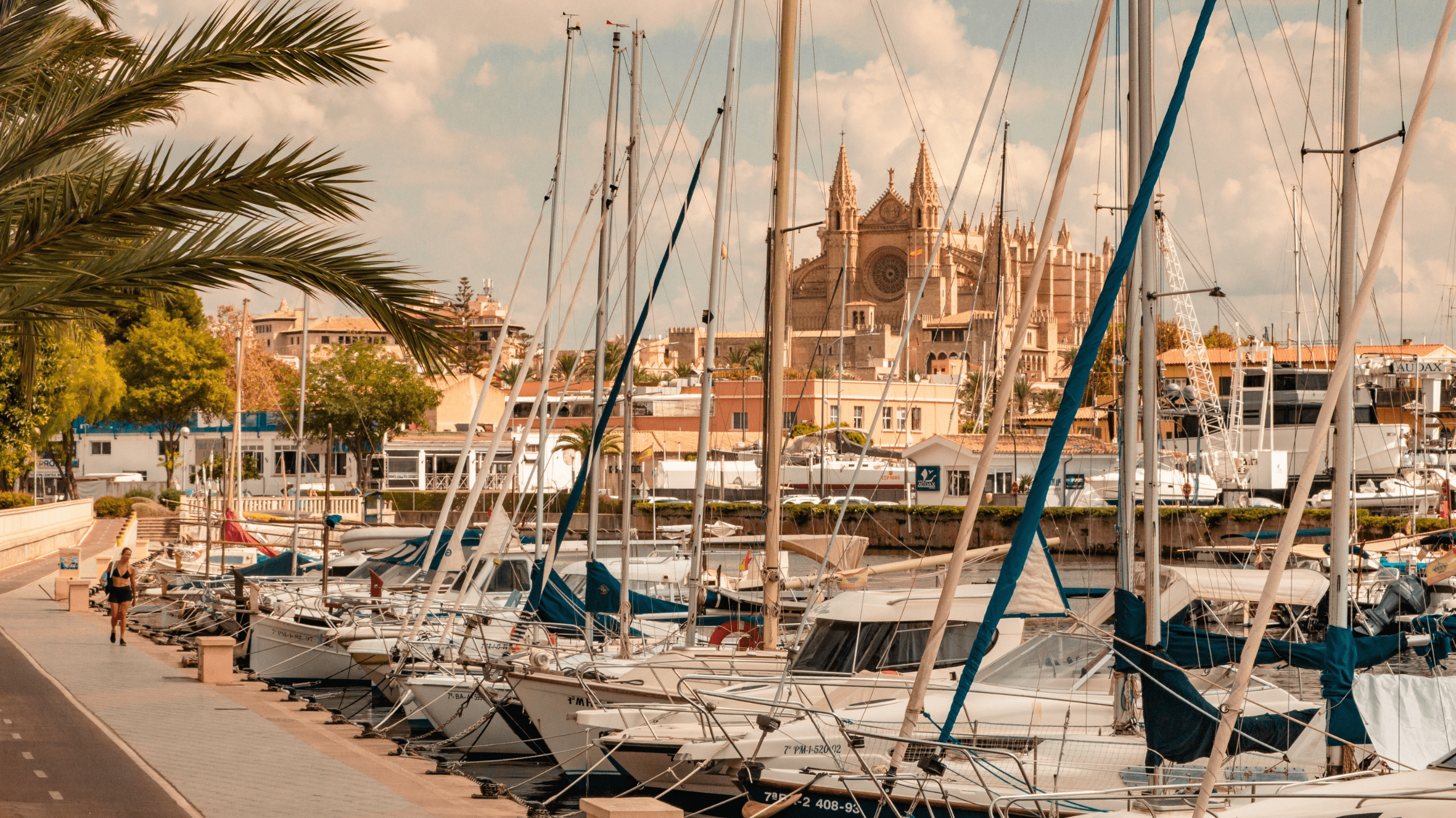 Palma, Mallorca - 2024